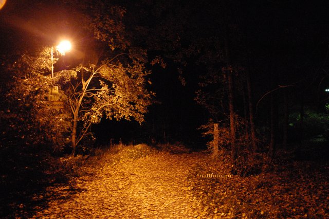 Gångväg med gatubelysning på natten