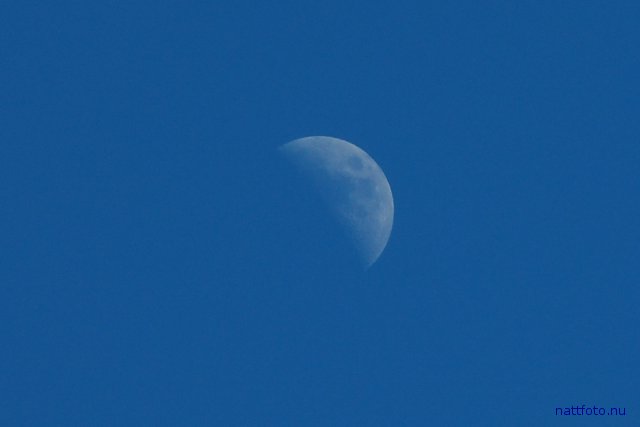 Månen på blå himmel dagtid